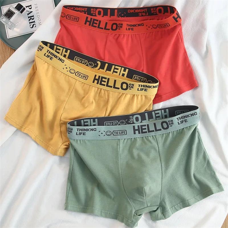 10Pieces/ Men's Underwear Men  - đánh giá và giá Boxer Shorts Modal