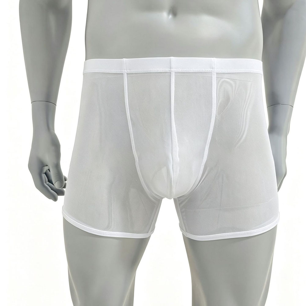 Men Mesh See-through Ultra-thi - đánh giá và giá Long Leg Trunk Men