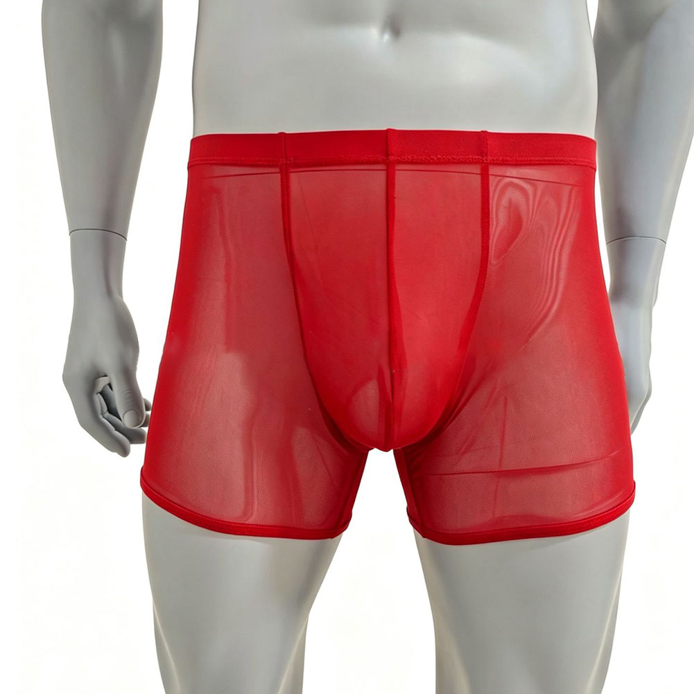 Men Mesh See-through Ultra-thi - đánh giá và giá Long Leg Trunk Men